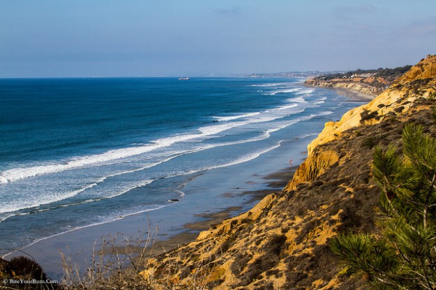Torrey Pines State Natural Reserve