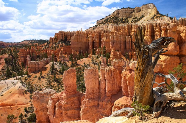 The multi-hued natural amphitheaters at Bryce Canyon