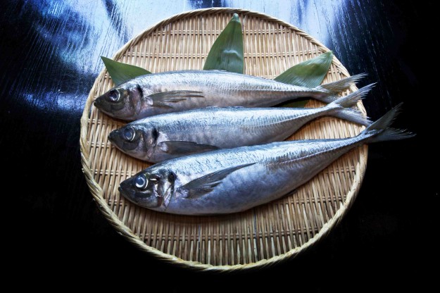 Fresh fish