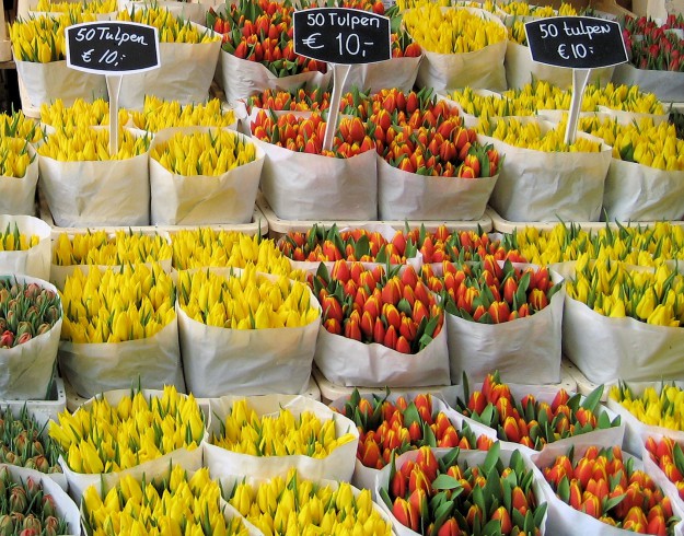 Amsterdam-_Floating_Tulip_Shop