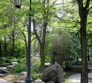 music garden image credit city of toronto