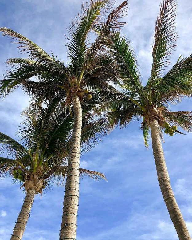 Trade a White Christmas for a Sandy Escape