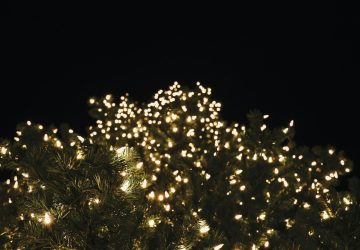 Santo Romantic - Lily Miller - Unsplash