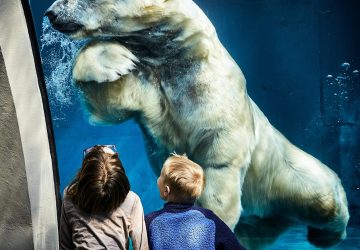 Kids Summer Destinations - Vidar Nordli Mathisen - Unsplash